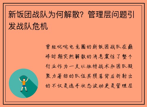 新饭团战队为何解散？管理层问题引发战队危机